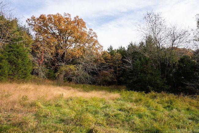 8 County Road 663, Home with 0 bedrooms, 0 bathrooms and null parking in Oak Grove AR | Image 4