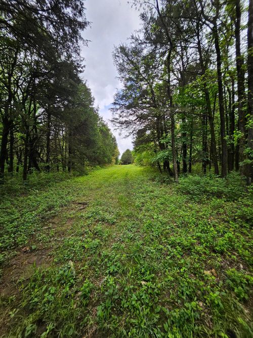 000 W Dade 2, Jerico Springs, MO, 64756 | Card Image