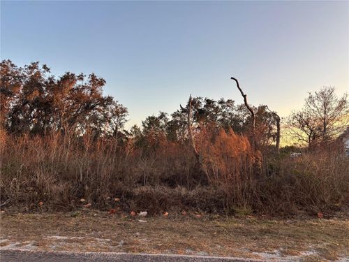 2141 Allamanda Dr, Indian Lake Estates, FL, 33855 | Card Image