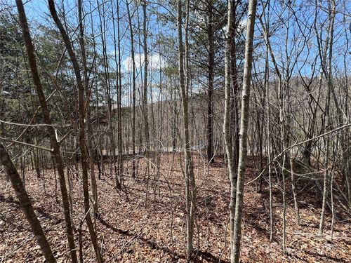 21-192 Pine Cone Trl, Marshall, NC, 28753 | Card Image