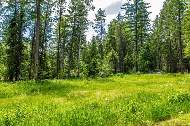 695 Latigo Ln, Home with 0 bedrooms, 0 bathrooms and null parking in Bigfork MT | Image 11
