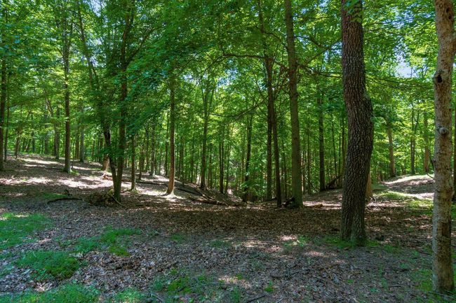 58501 Us Highway 50, Home with 0 bedrooms, 0 bathrooms and null parking in Mc Arthur OH | Image 55