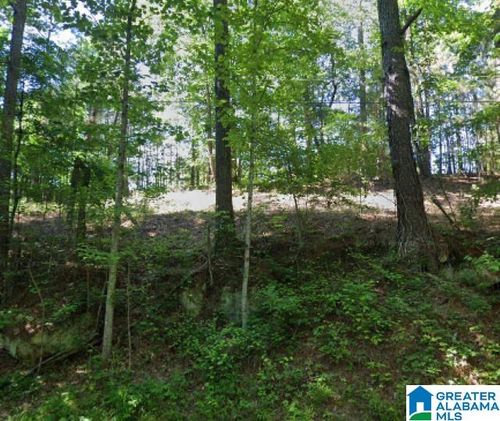 25-0 Kiowa Road, Pinson, AL, 35130 | Card Image