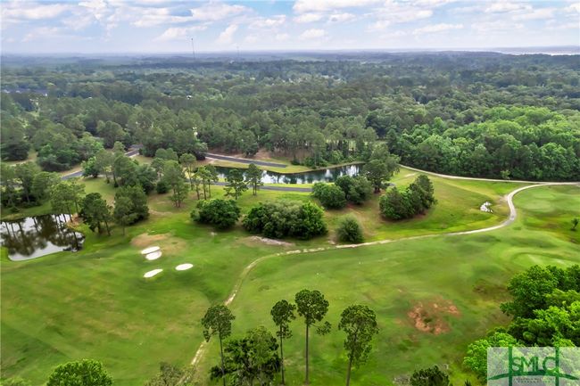 732 Coopers Point Dr Ne, Home with 0 bedrooms, 0 bathrooms and null parking in Townsend GA | Image 26