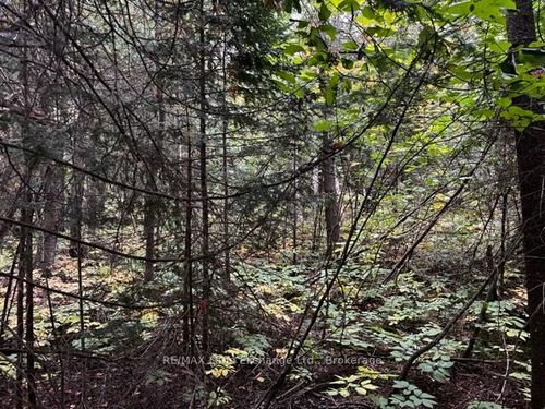 4 Shore Rd, Southampton, ON, N0H | Card Image