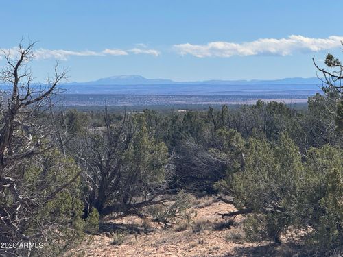 75-Lot 75 Red Sky Ranch --, St Johns, AZ, 85936 | Card Image