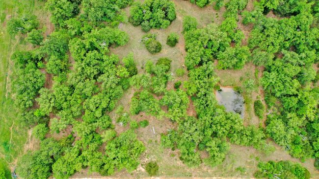 440 County Road 314, Home with 0 bedrooms, 0 bathrooms and 2 parking in Milano TX | Image 21