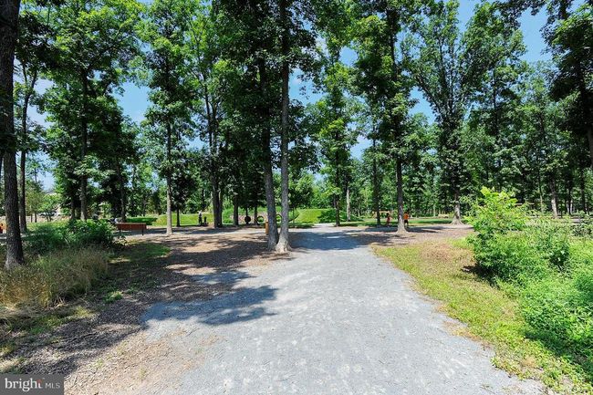 20440 Northpark Dr, Townhouse with 4 bedrooms, 6 bathrooms and null parking in ASHBURN VA | Image 86