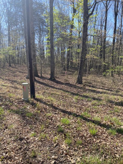 362 Haynes Rd, Sewanee, TN, 37375-4013 | Card Image