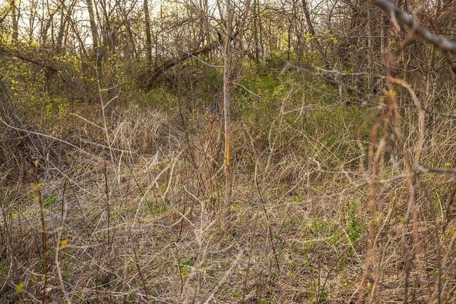 View of landscape | Image 77