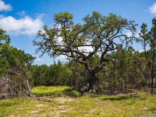 000 Oak Valley Ranch, Dripping Springs, TX, 78620 | Card Image