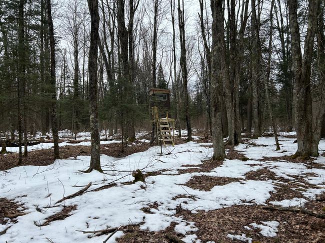 743 Woodlawn Rd, House other with 2 bedrooms, 1 bathrooms and null parking in Pickerel WI | Image 75