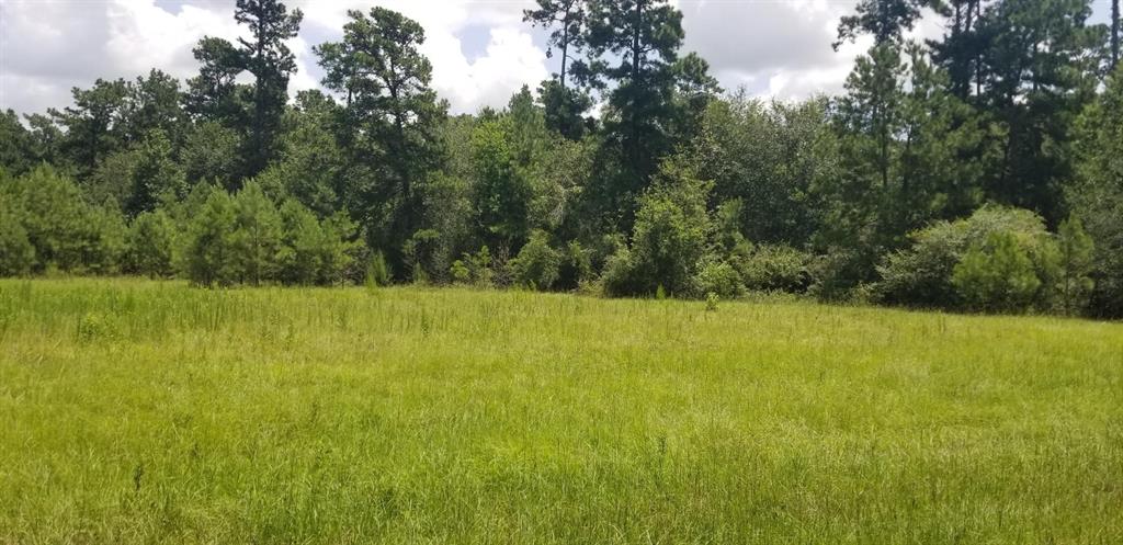 FM 1488 Rd, Magnolia, TX 77354