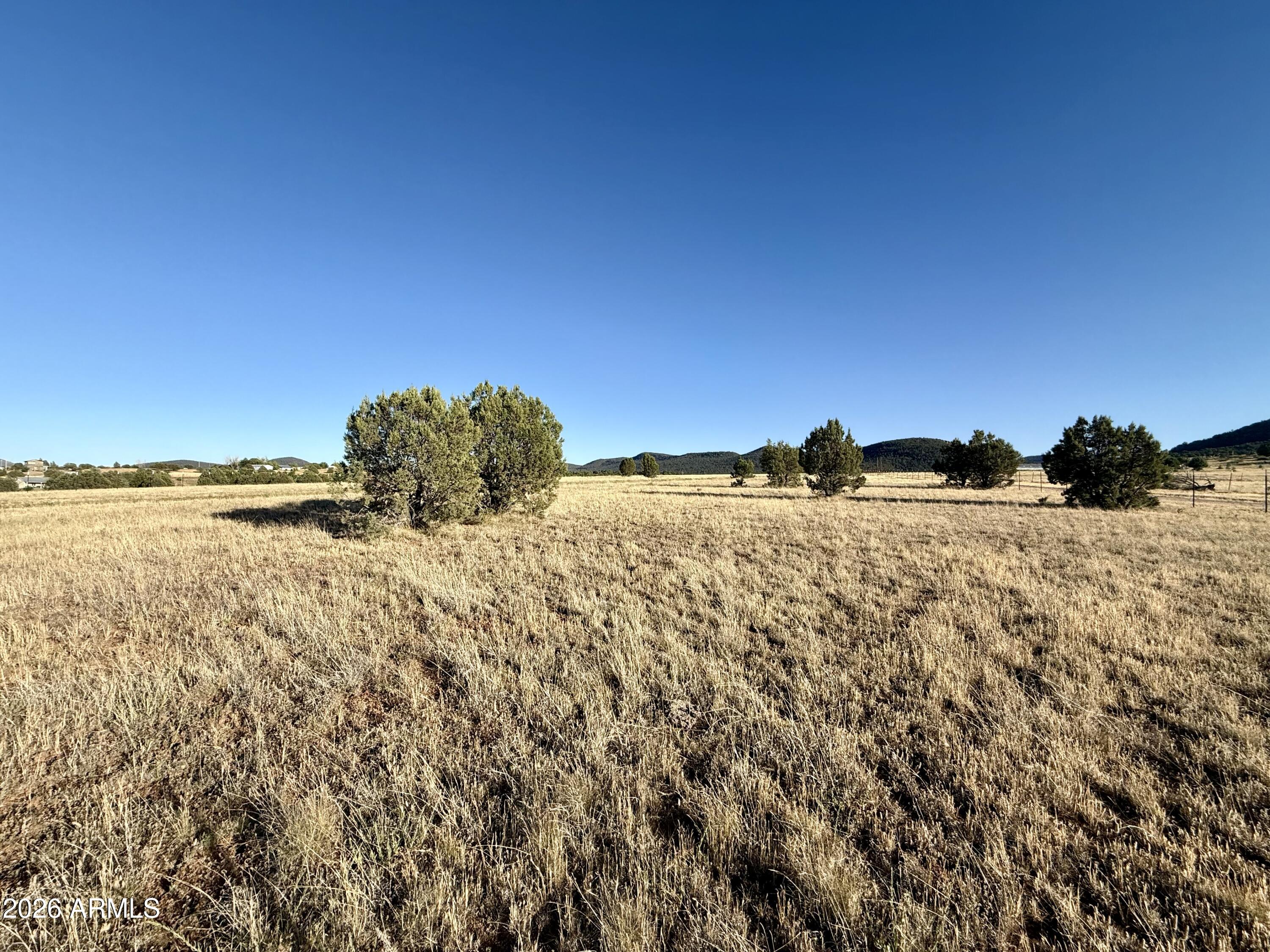 Land in Young 3