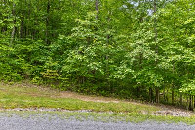 Lot 534 Wilderness Way | Image 1