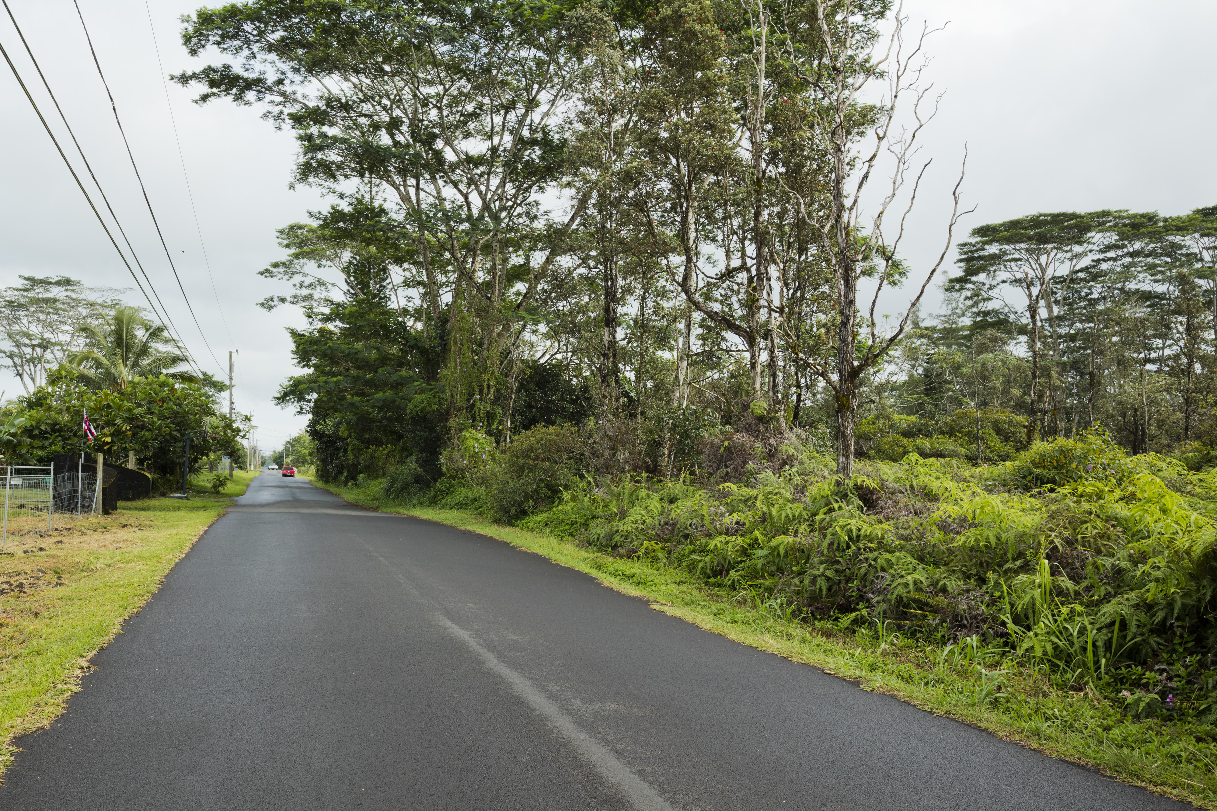 Land in Keaau 4