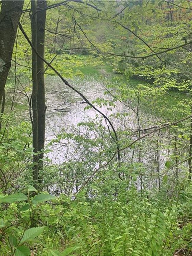 197a Magee Rd, Sold in Perry Twp Law Zoocasa