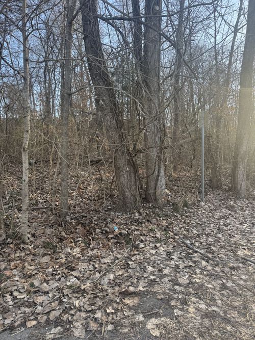 708 Peachers Dr, Clarksville, TN, 37042 | Card Image