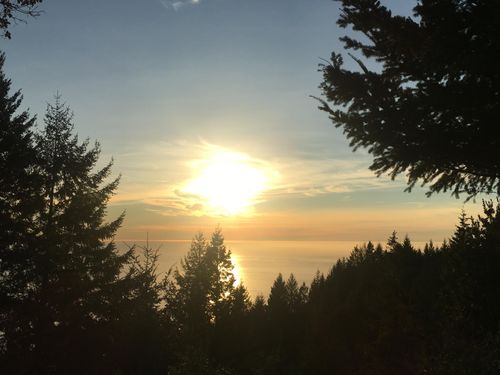 43 &amp; 61 Wood Court, Shelter Cove, CA, 95589 | Card Image