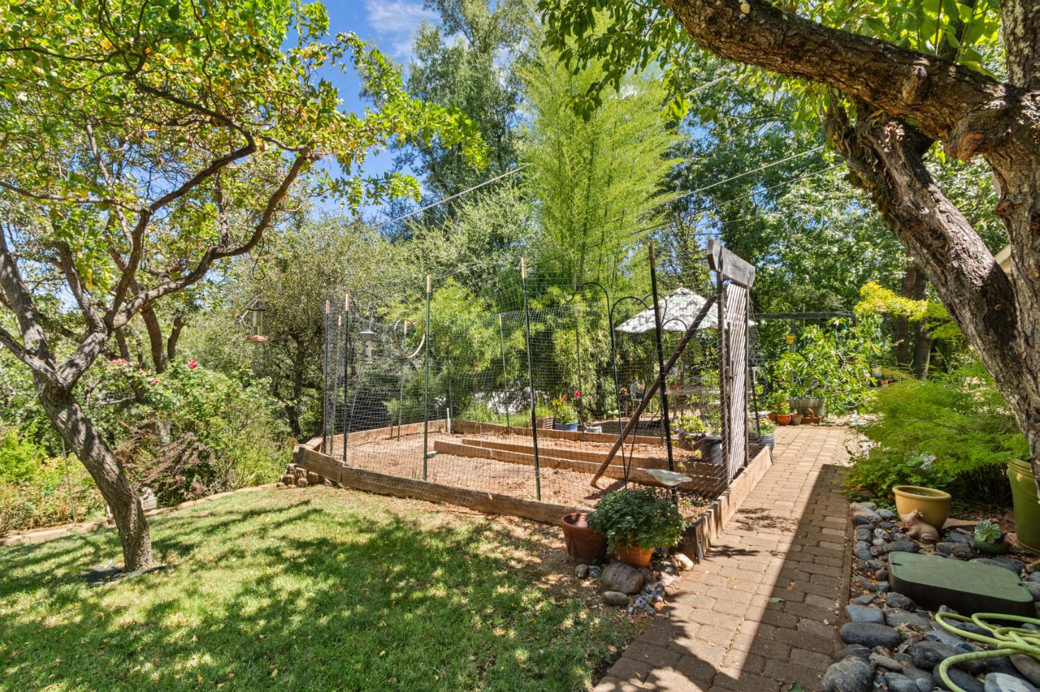 Residential in Placerville 2