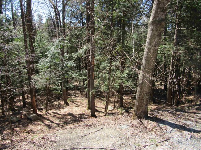 58 - 0 Stratton View Road, Home with 0 bedrooms, 0 bathrooms and null parking in Winhall VT | Image 4