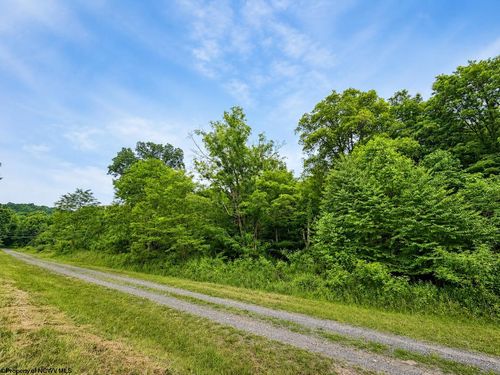 Lot 12 Iron Horse Ln, Dryfork, WV, 26263 | Card Image