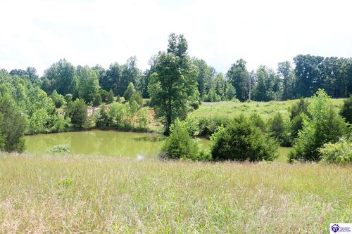 0 Levi Beams Rd, Magnolia, KY, 42757 | Card Image