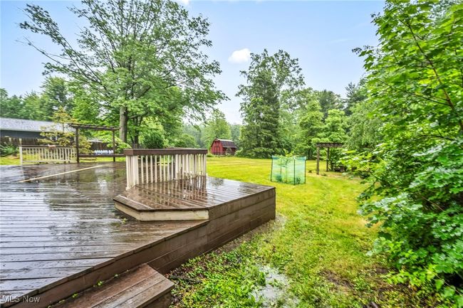 Rear yard | Image 37