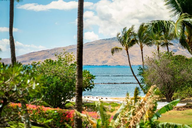 APT-202 - 760 S Kihei Rd, Condo with 2 bedrooms, 2 bathrooms and null parking in Kihei HI | Image 24