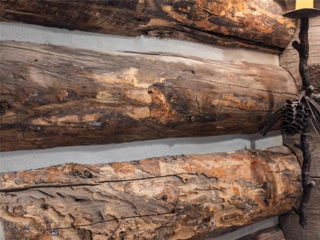 Original Log Barn with new chinking | Image 35
