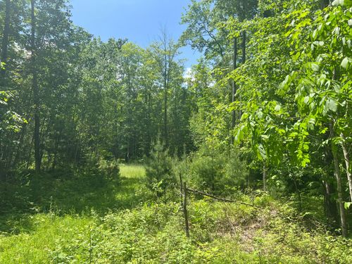 TBD Wilderness Trl, Crystal Falls, MI, 49920 | Card Image