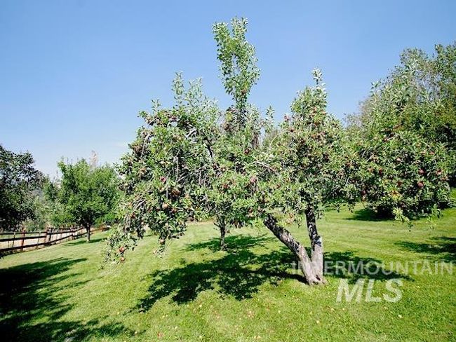 2671 W Fork Rd, House other with 4 bedrooms, 2 bathrooms and 4 parking in Fruitvale ID | Image 13