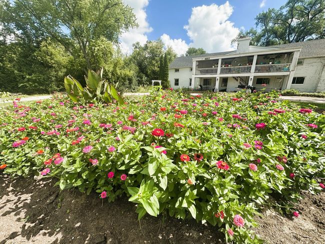 APT-1B - 38185 N State Park Rd, Condo with 2 bedrooms, 1 bathrooms and 2 parking in Spring Grove IL | Image 14