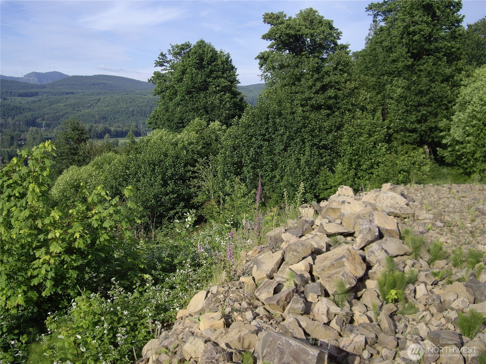 Land in Mossyrock 4