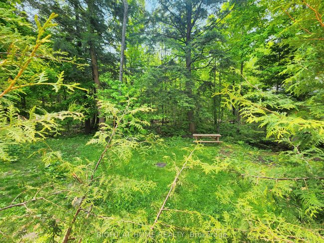 2384 Champlain Rd, House other with 3 bedrooms, 2 bathrooms and 6 parking in Tiny ON | Image 19