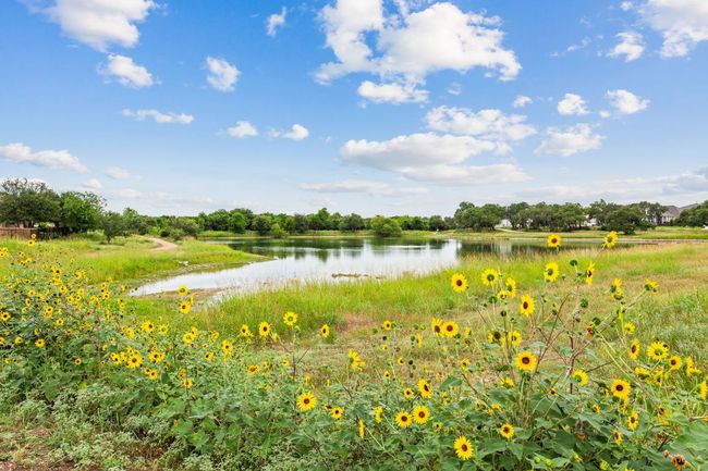 Catch & Release Pond | Image 18
