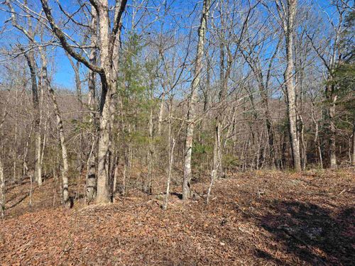 L41 B9 Pahokee Drive, Cherokee Village, AR, 72529 | Card Image