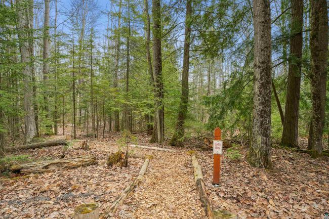 37475 Sophie Ln, House other with 1 bedrooms, 1 bathrooms and null parking in Bayfield WI | Image 18