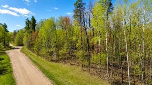 TBD Raccoon And Flower Trail, Breezy Point, MN, 56472 | Card Image