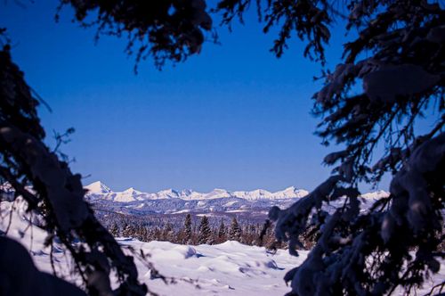 {{alt}} | Card Image