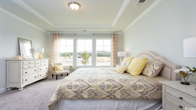 Bedroom with visible vents, ornamental molding, a raised ceiling, and carpet floors | Image 20