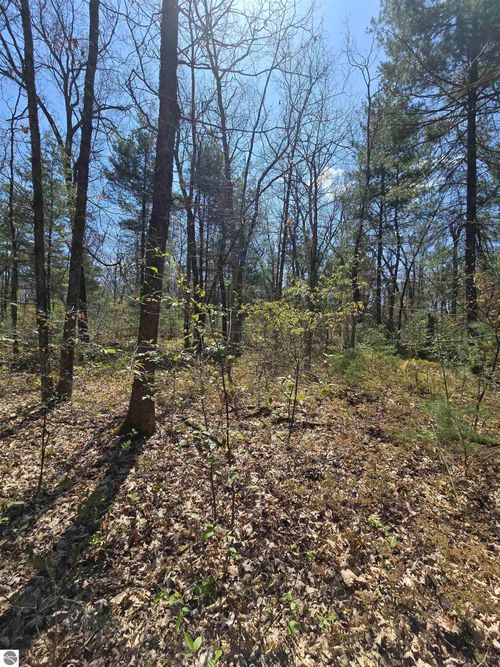 TBD S Locust Avenue, White Cloud, MI, 49349 | Card Image