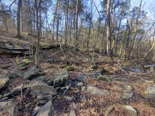 Tract 1 Hwy 14 E, Mountain View, AR, 72560 | Card Image