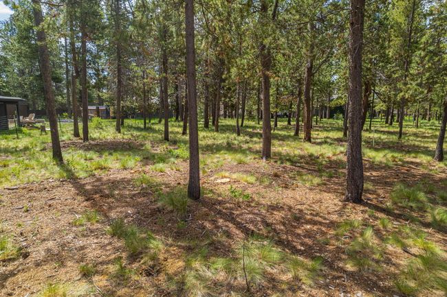 6-web-or-mls-17255 Canvasback Drive-06 | Image 7
