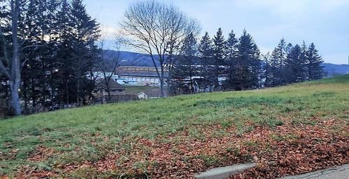 195 Greeley Ave, Hornell, NY, 14843-2356 | Card Image