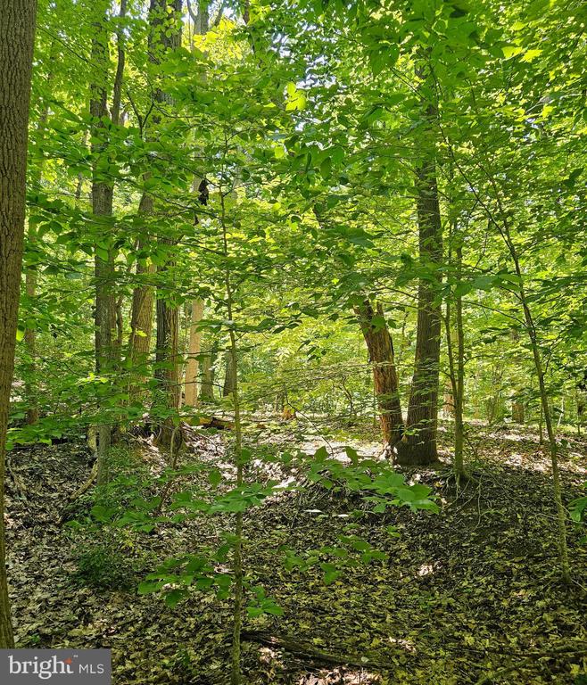 Land in CROWNSVILLE 5