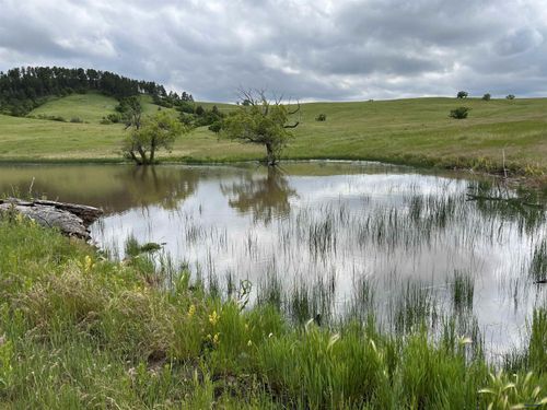 40-acres-weisman-road-TBD Other, Whitewood, SD, 57793 | Card Image