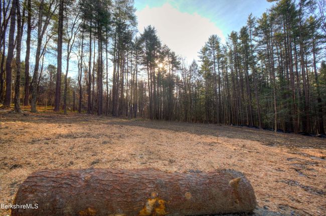 13 Rattlesnake Mtn Rd, Home with 0 bedrooms, 0 bathrooms and null parking in Stockbridge MA | Image 14
