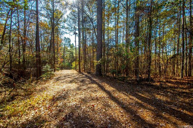 001-09449-000 Prysock Road, Home with 0 bedrooms, 0 bathrooms and null parking in Benton AR | Image 27