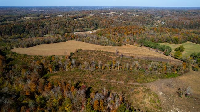 0 Short Cut Rd, Home with 0 bedrooms, 0 bathrooms and null parking in Lester AL | Image 13